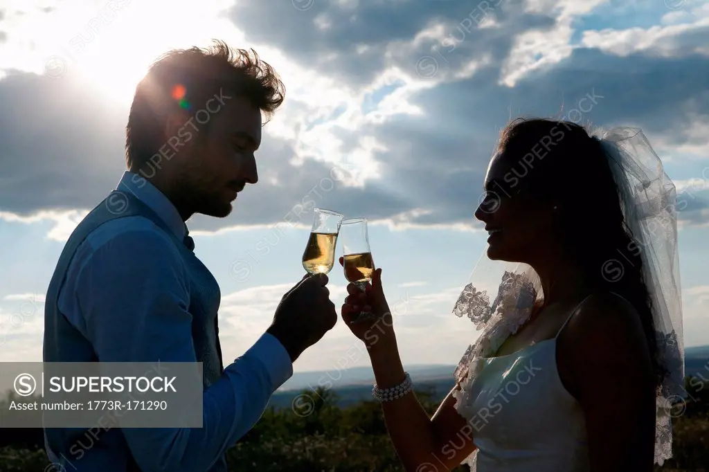 Newlywed couple having champagne