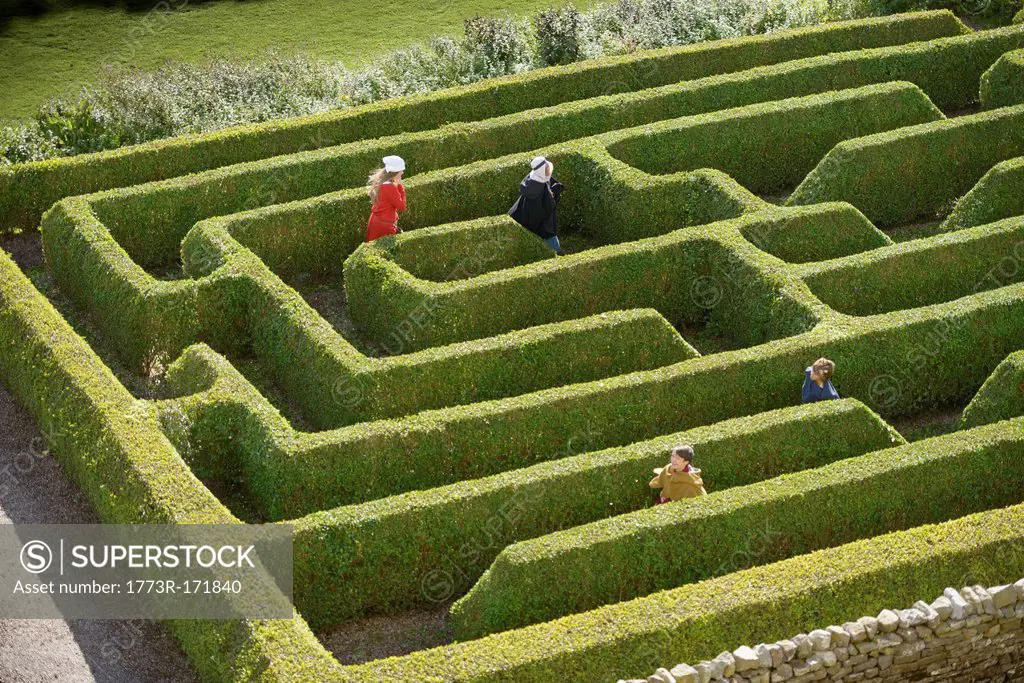Students exploring hedge maze