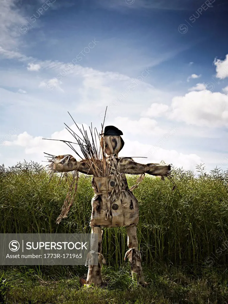 Scarecrow standing in grassy field