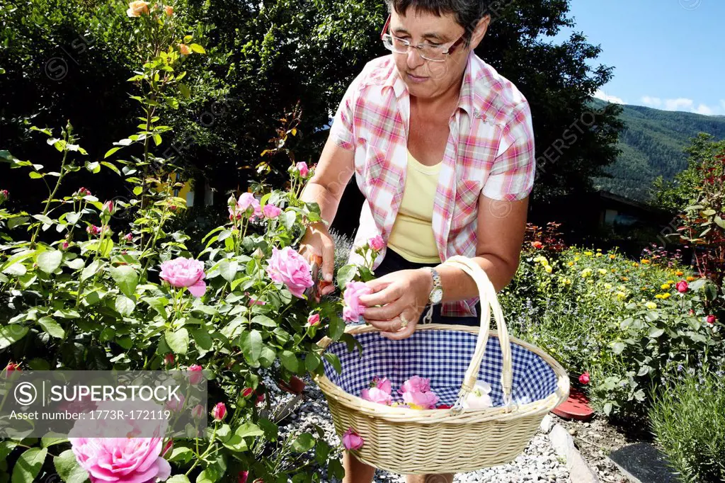 Woman picking flowers in garden