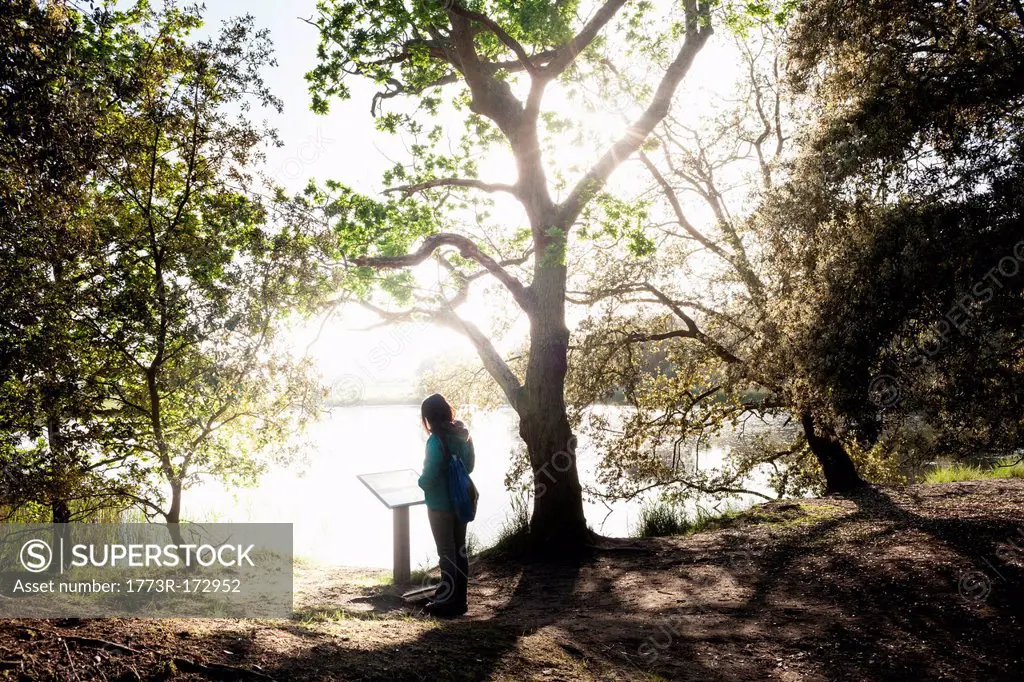 Woman reading plaque in forest