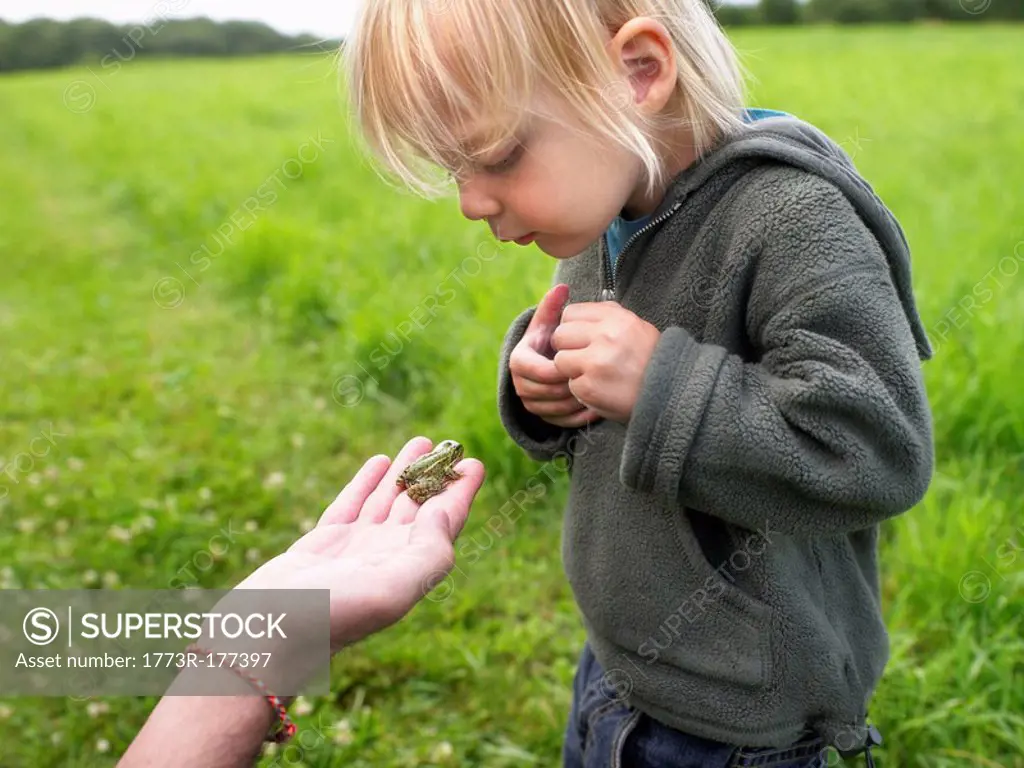Young girl looking at a small frog held in a man´s hand