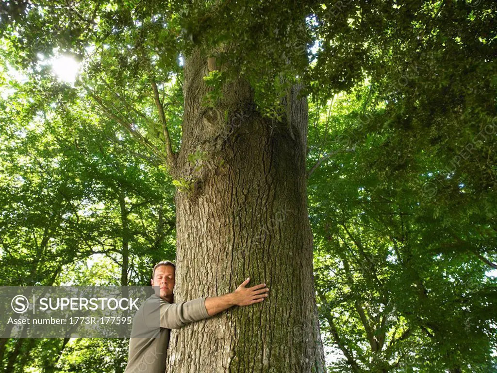 Man embracing a tree trunk