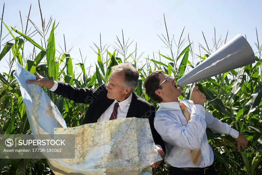 Businessmen in a cornfield with a map and megaphone