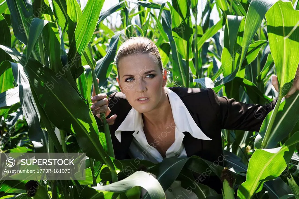 Businesswoman peering through corn