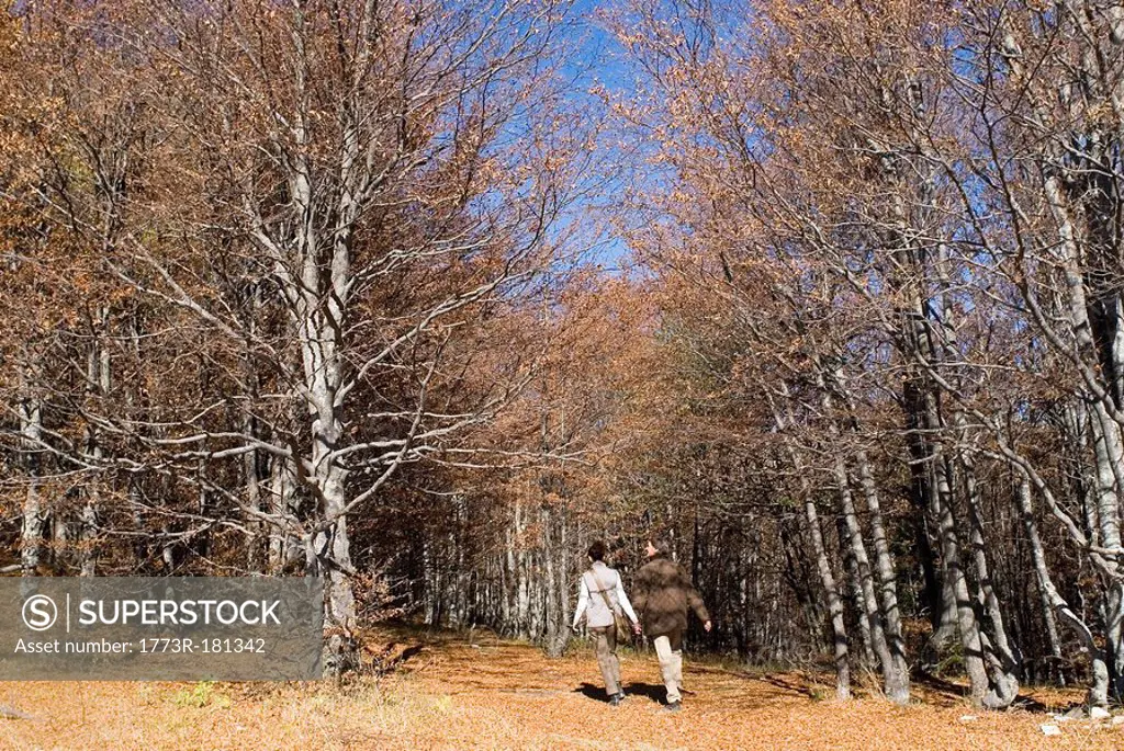 Couple walking into woods