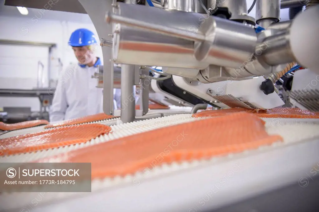 Fish filets on conveyor belt in factory
