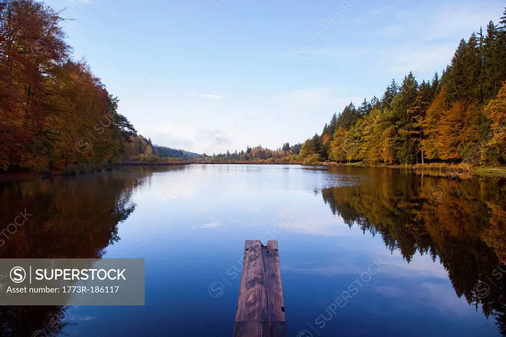 Trees reflected in still rural lake