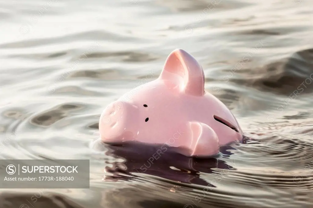 Piggy bank floating in water