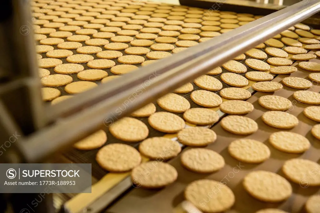 Biscuits on production line in factory