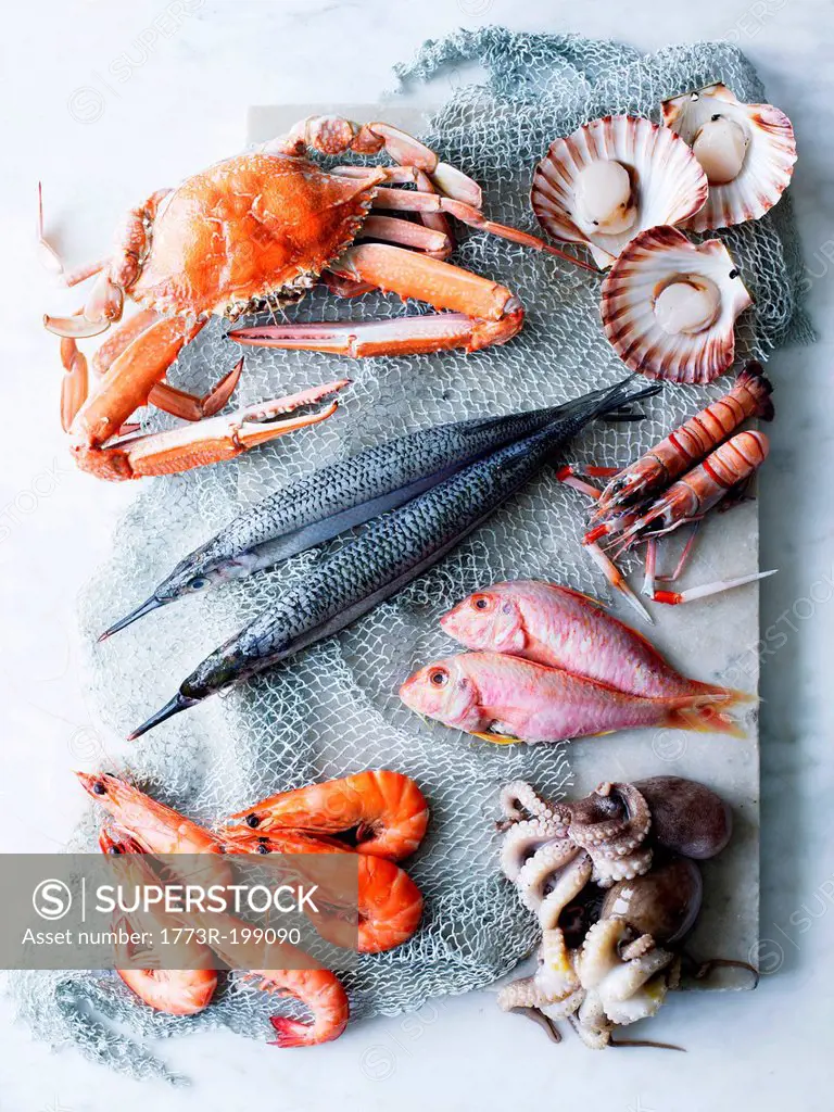 Selection of fresh seafood
