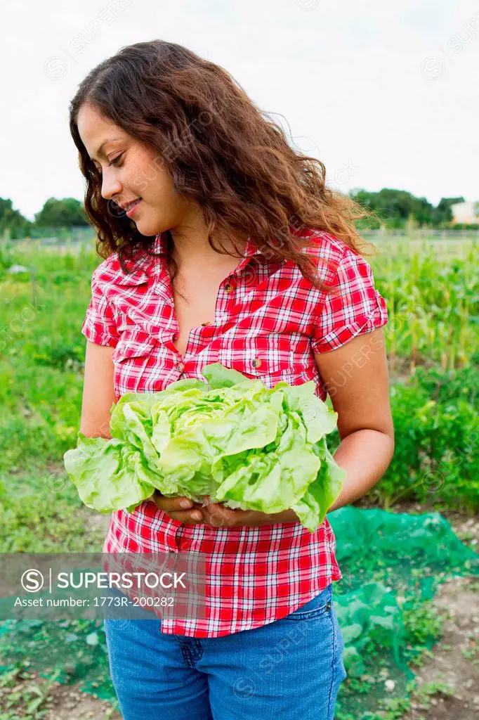 Young woman holding cabbage in allotment