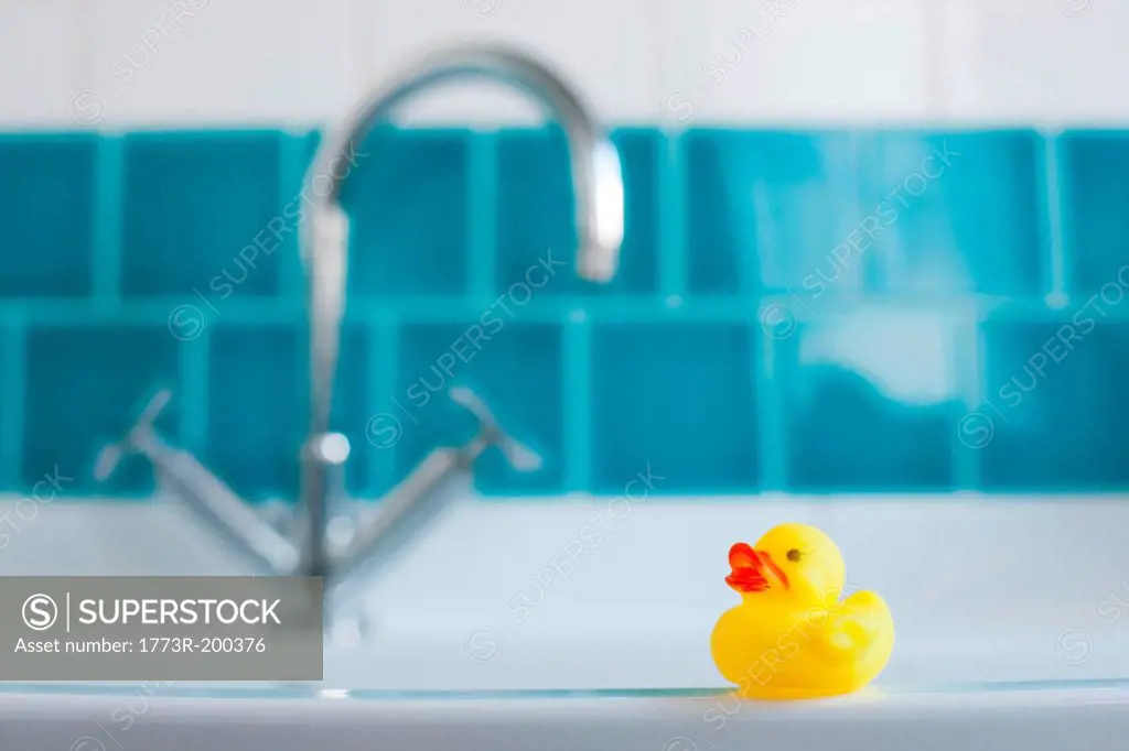 One yellow rubber duck for bathtime