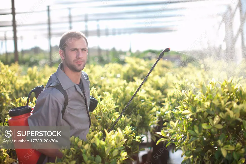 Young man spraying pesticide in plant nursery