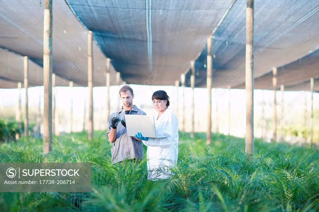 Worker and scientist with laptop in plant nursery