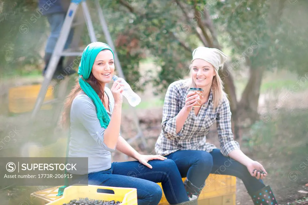 Women sitting on crates taking a break in olive grove