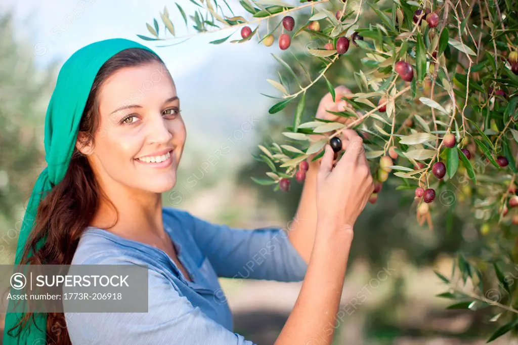 Woman picking olives in olive grove, portrait