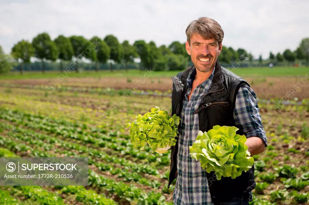Portrait of organic farmer holding lettuce