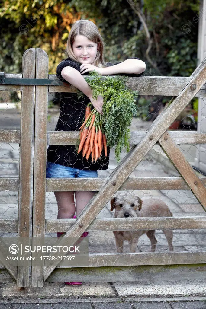 Girl in garden holding bunch of carrots