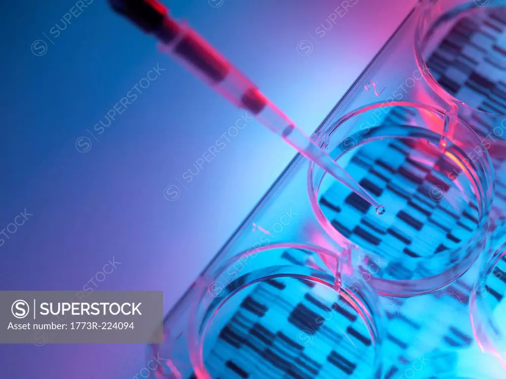 Pipetting sample into tray for DNA testing