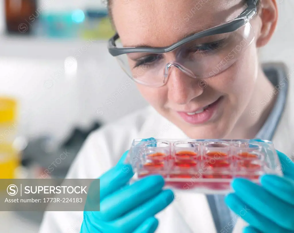 Female scientist examining stem cell cultures in laboratory