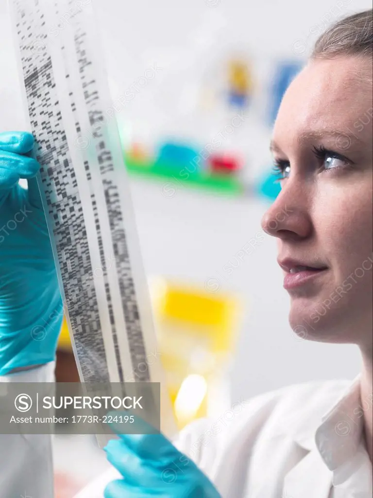 Scientist holding DNA autoradiogram in laboratory