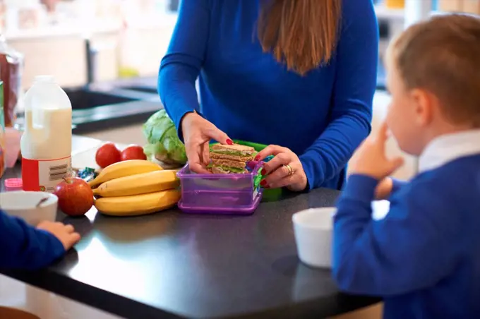 Cropped view of mother packing her school children's lunch box in kitchen