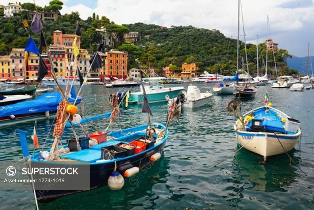 Italy, Liguria, Portofino, Typical small ligurian boats in harbor