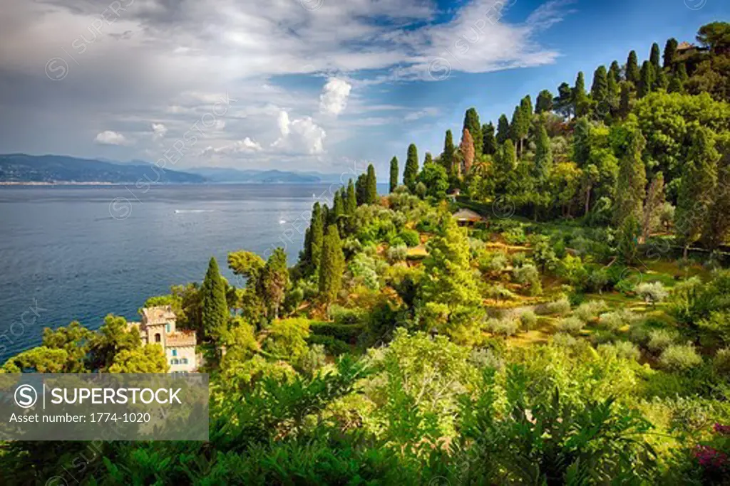Italy, Liguria, Portofino, Terraced hillside at coast