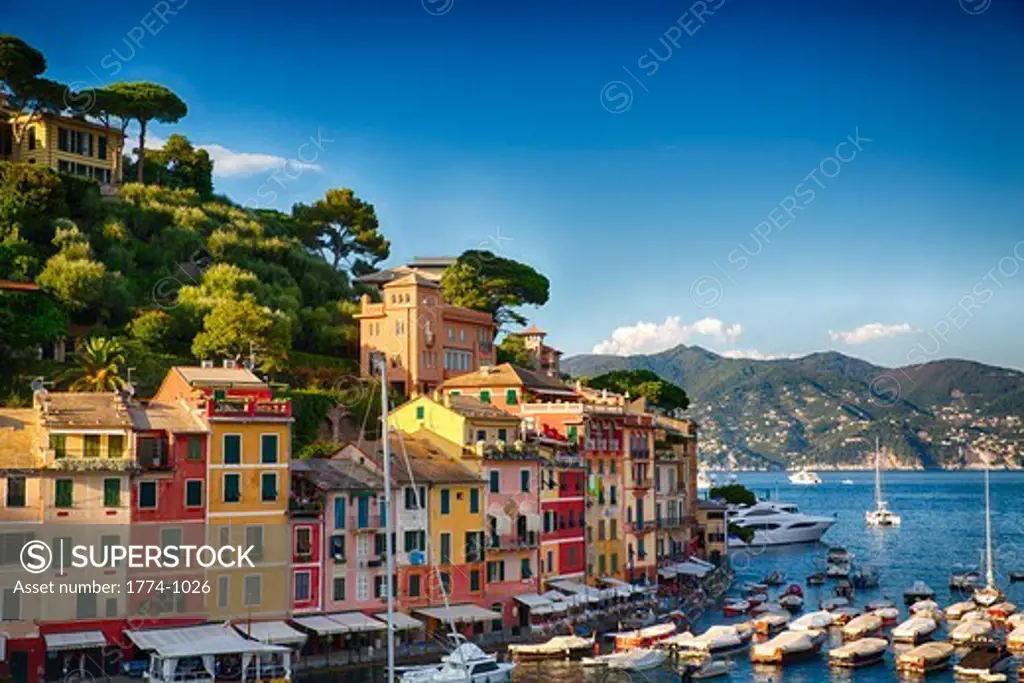 Italy, Liguria, Portofino, Colorful houses in harbor