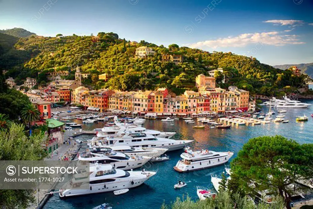 Italy, Liguria, Portofino, High angle view of harbor in summer afternoon