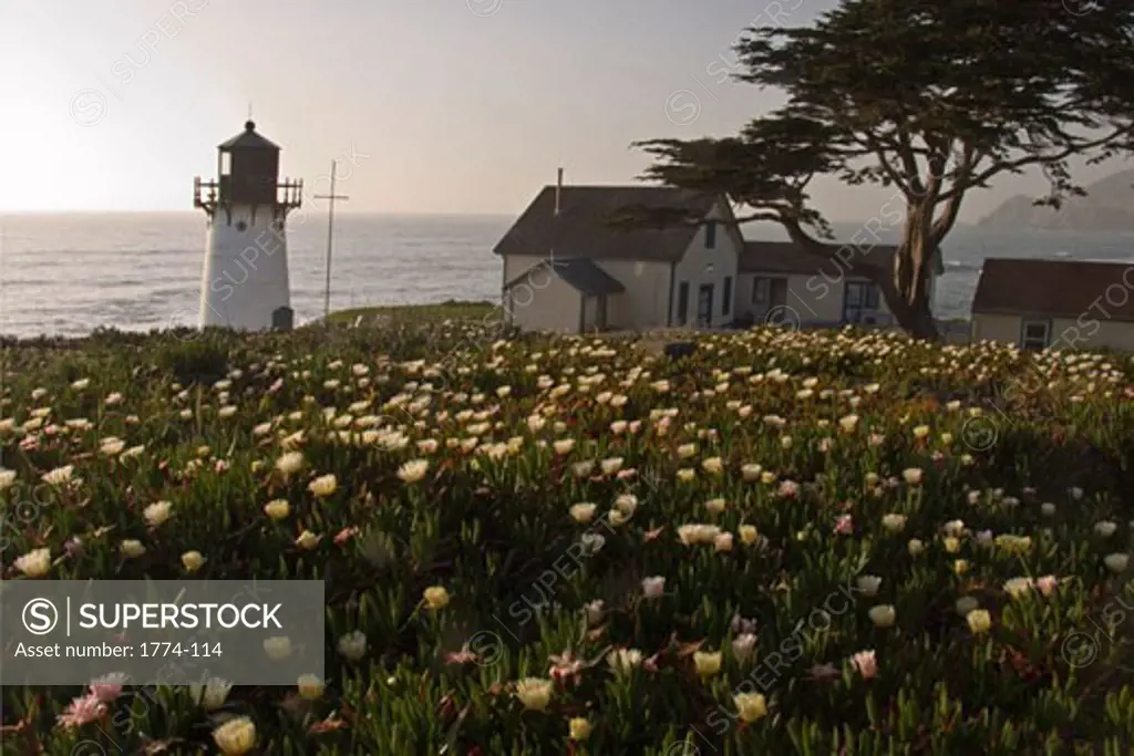Lighthouse at the coast, Point Montara Lighthouse, Montara, San Mateo County, California, USA