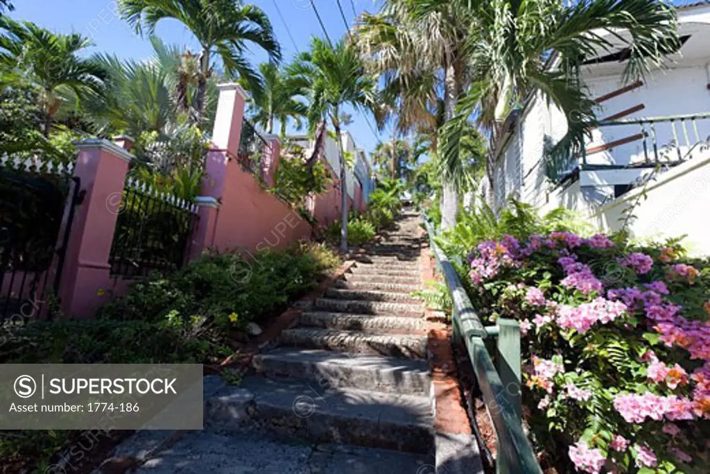 Low Angle View of the Famed 99 Steps, Charlotte Amalie,St Thomas, US Virgin Islands