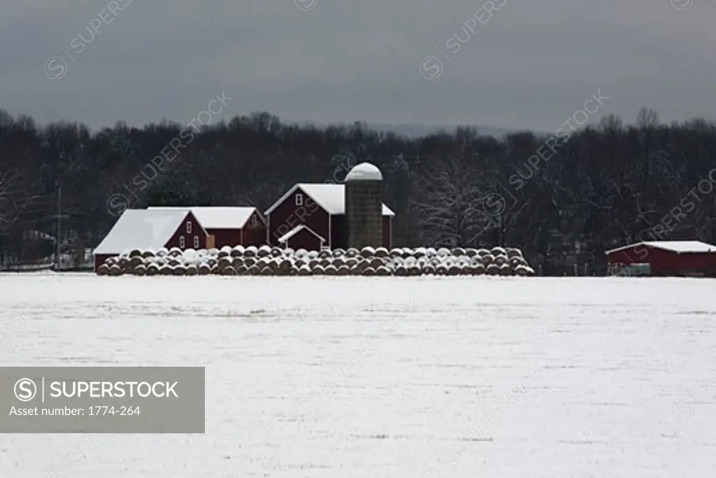 American Farm In Winter, Readington, New Jersey