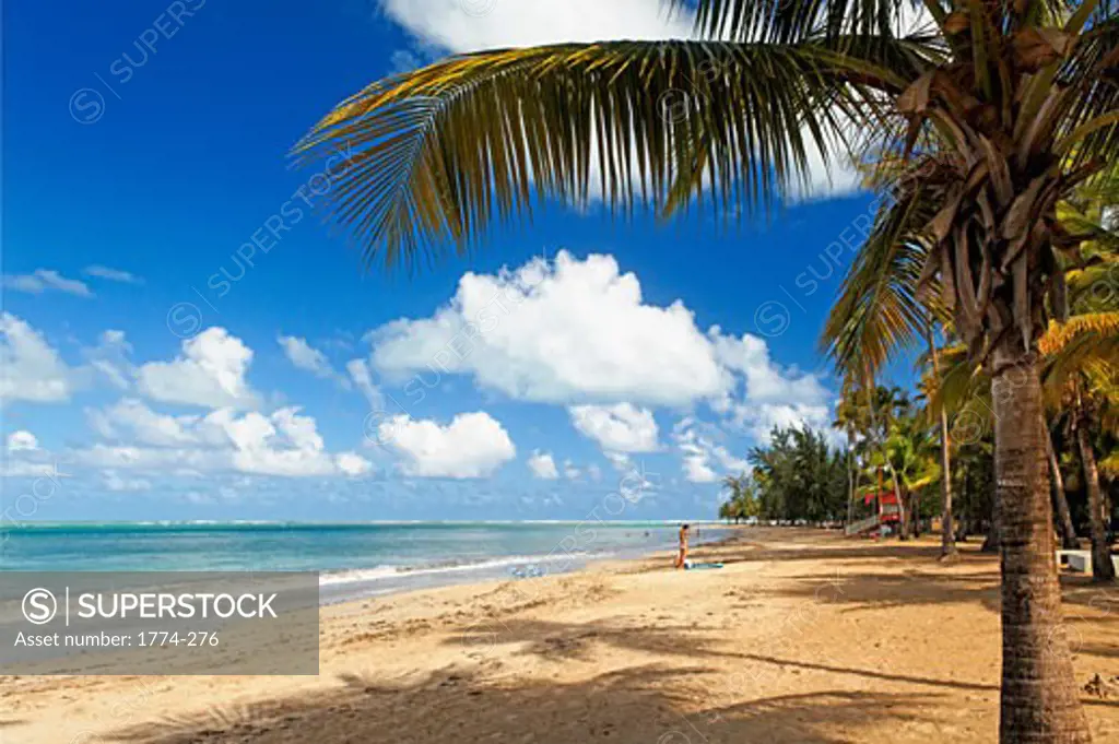 Beach View, Balneario Luquillo, Puerto Rico