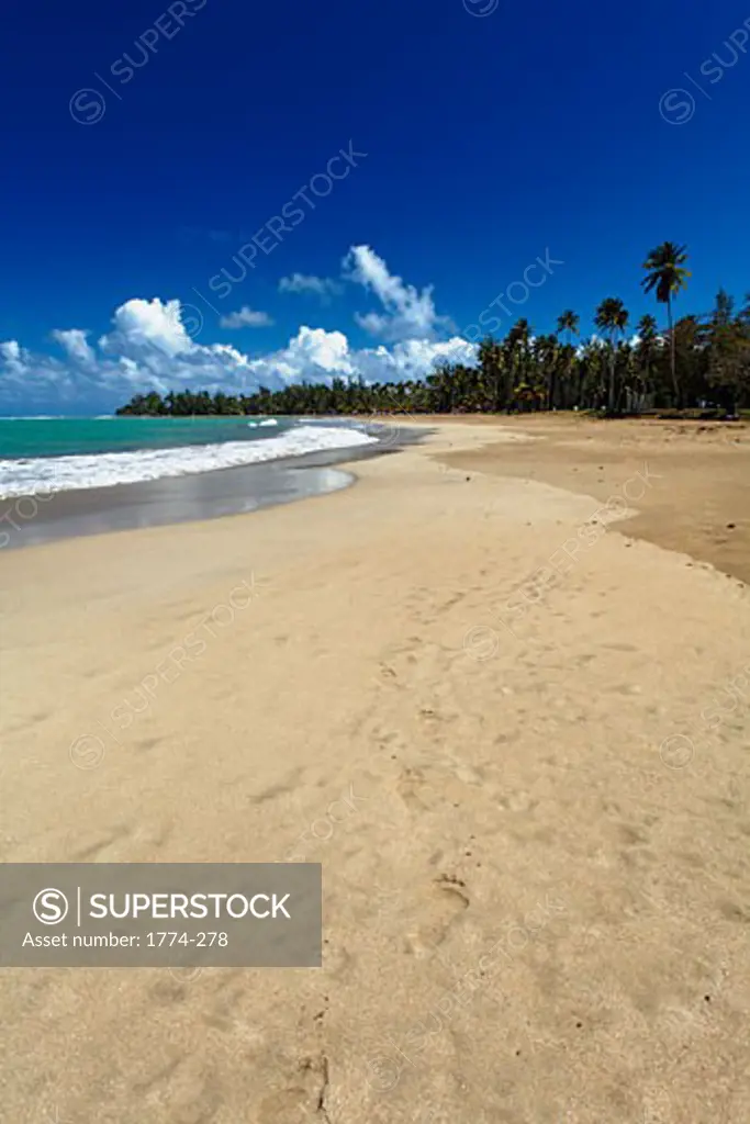 Vertical View of a Caribbean Beach,Luquillo Beach, Puerto Rico