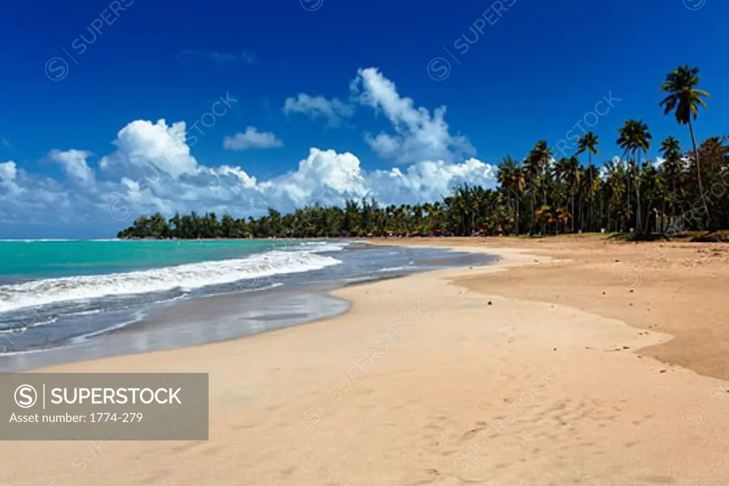 Wide Angle View of a Tropical Beach, Luquillo, Puerto Rico