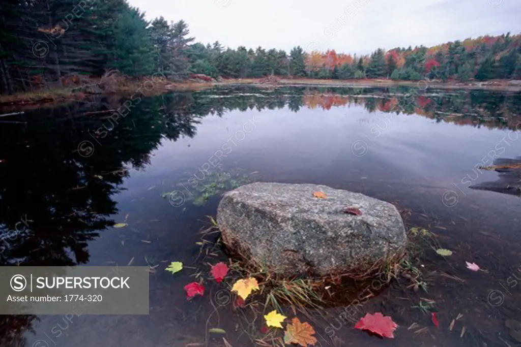 Rock in a Pond, Acadia National Park, Mount Desert Island, Maine, USA