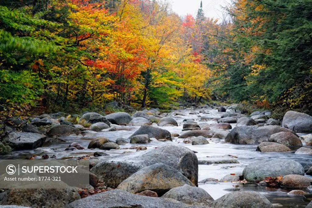 View of a Rocky Creek During Fall, Lost River, White Mountain National Forest, New Hampshire, USA
