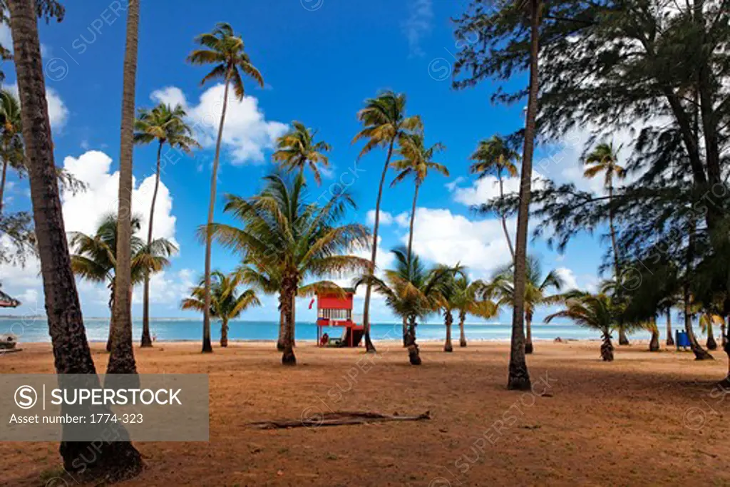 Lifeguard Hut on a Palm Covered Tropical Beach, Luquillo, Puerto Rico