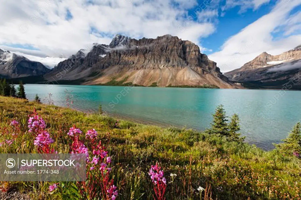 View of the Bow Lake with the Crowfoot Mountain During Summer, Alberta, Canada