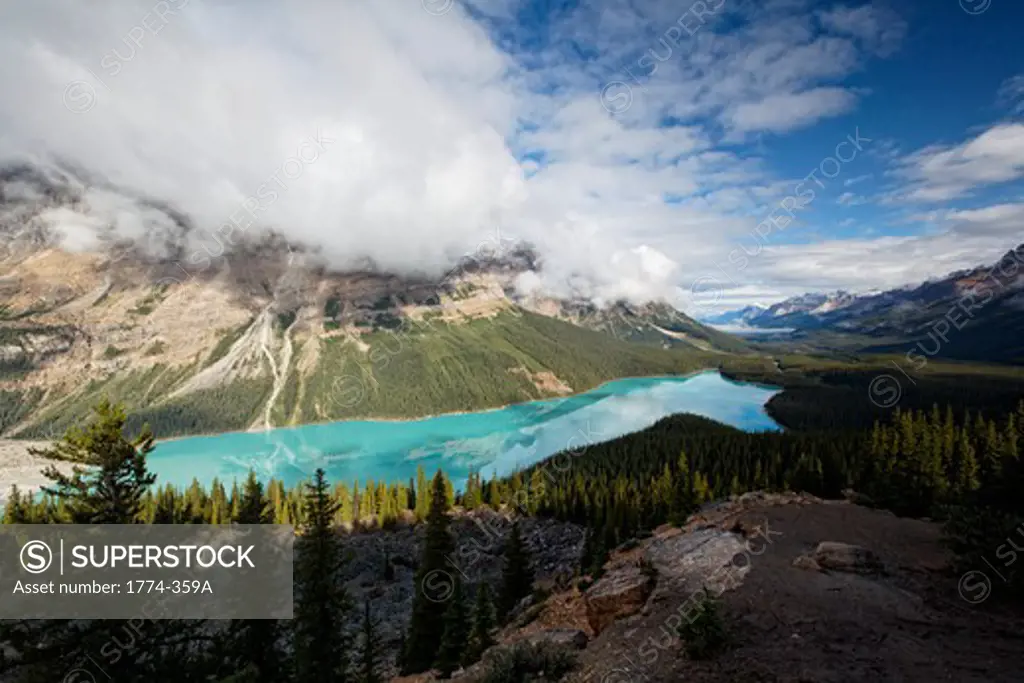 Canada, Alberta, Peyto Lake, Glacial Lake, high angle view