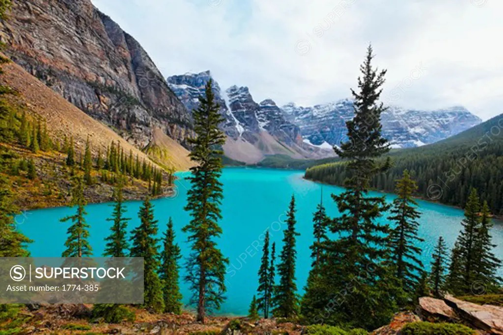 Canada, Alberta, Canadian Rockies, Chipmunk on Rock