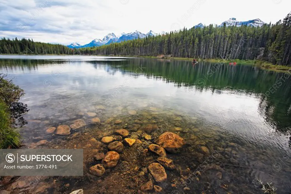 Reflection of trees in a lake, Herbert Lake, Banff National Park, Alberta, Canada