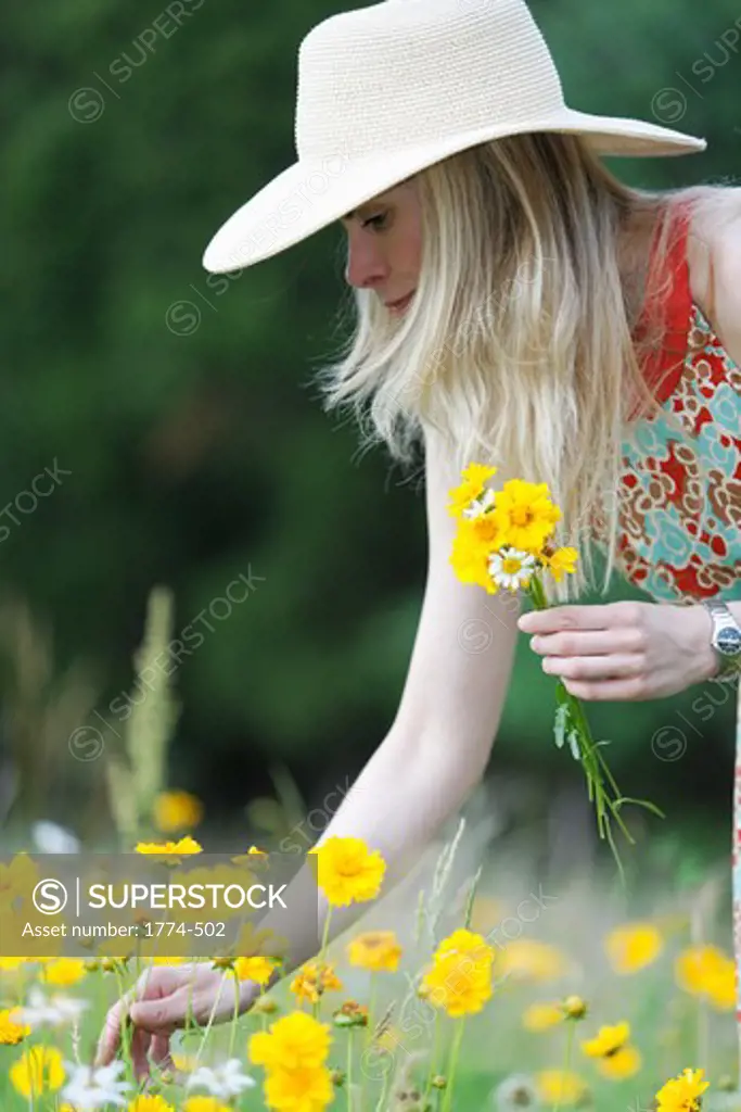 Young model plucking wildflowers in a meadow, New Jersey, USA