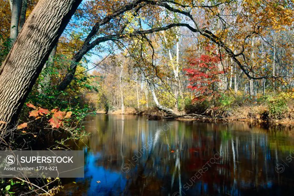 USA, New Jersey, Hunterdon County, Tewksbury, Lamington River Fall Scenic