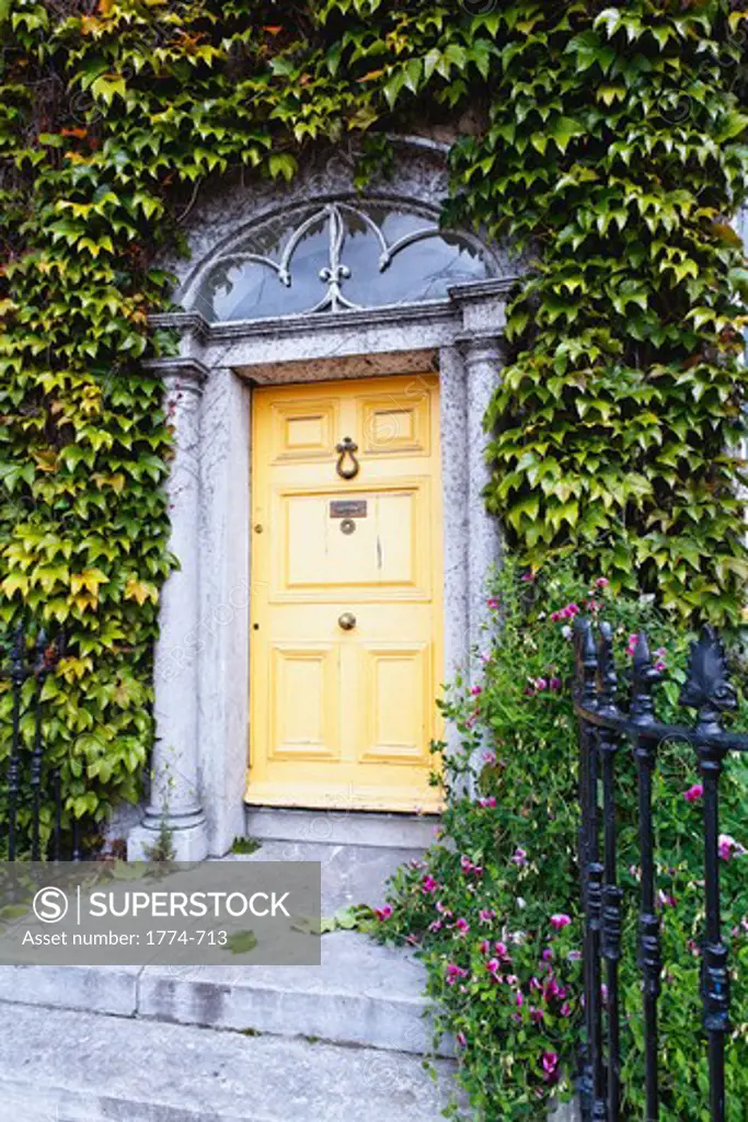 Ireland, County Cork, Kinsale, Ivy Around Traditional Victorian Style Entrance Door