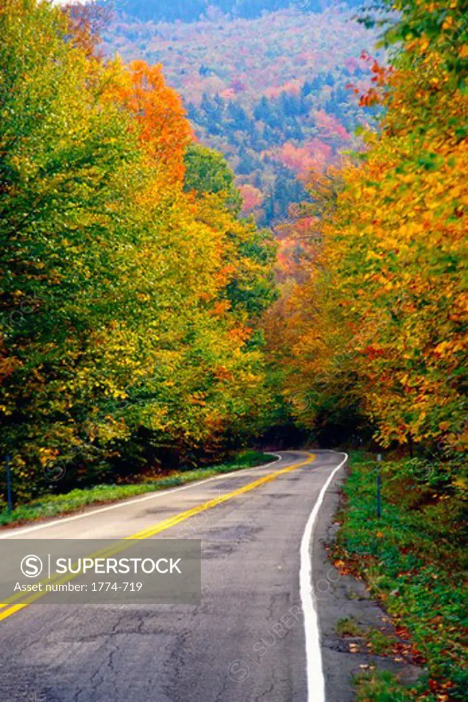 USA, New Hampshire, White Mountains, Road in autumn forest