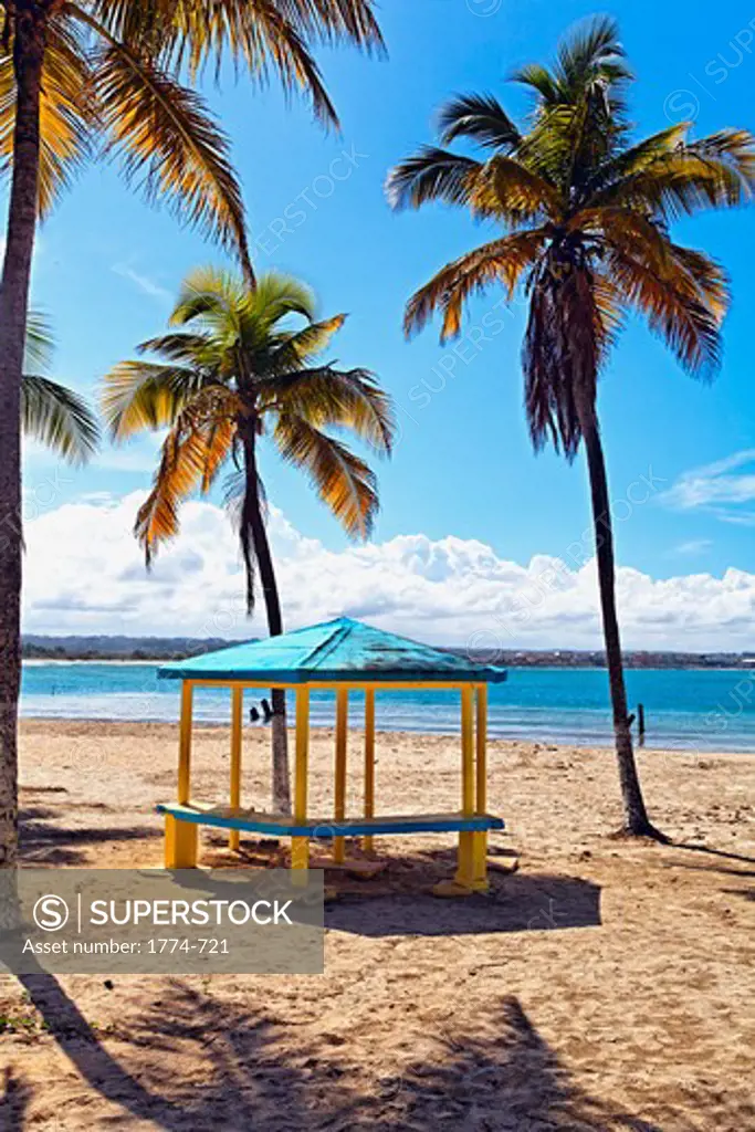 Puerto Rico, Arecibo, Tropical beach