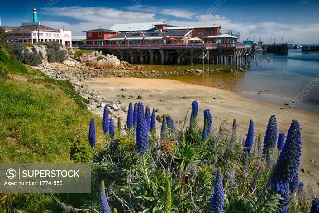Fishermen's Wharf, Monterey, California, USA
